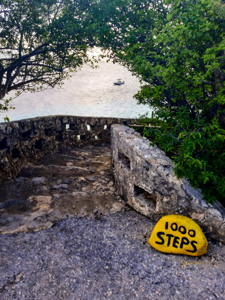 1000 steps Bonaire