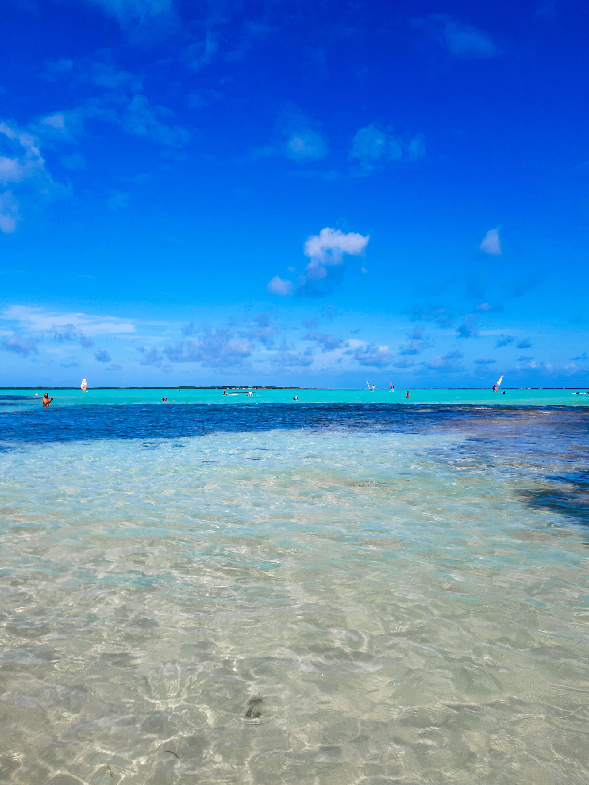 Top Mooiste Stranden Bonaire Wandering The World