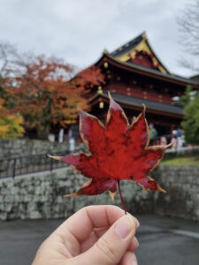 tempel in nikko in Japan